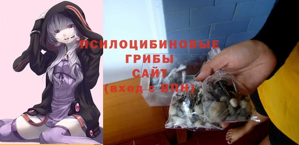 ешки Нягань
