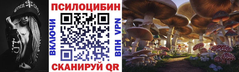 даркнет сайт сайты даркнета какой сайт Галлюциногенные грибы MAGIC MUSHROOMS Руза kraken сайт